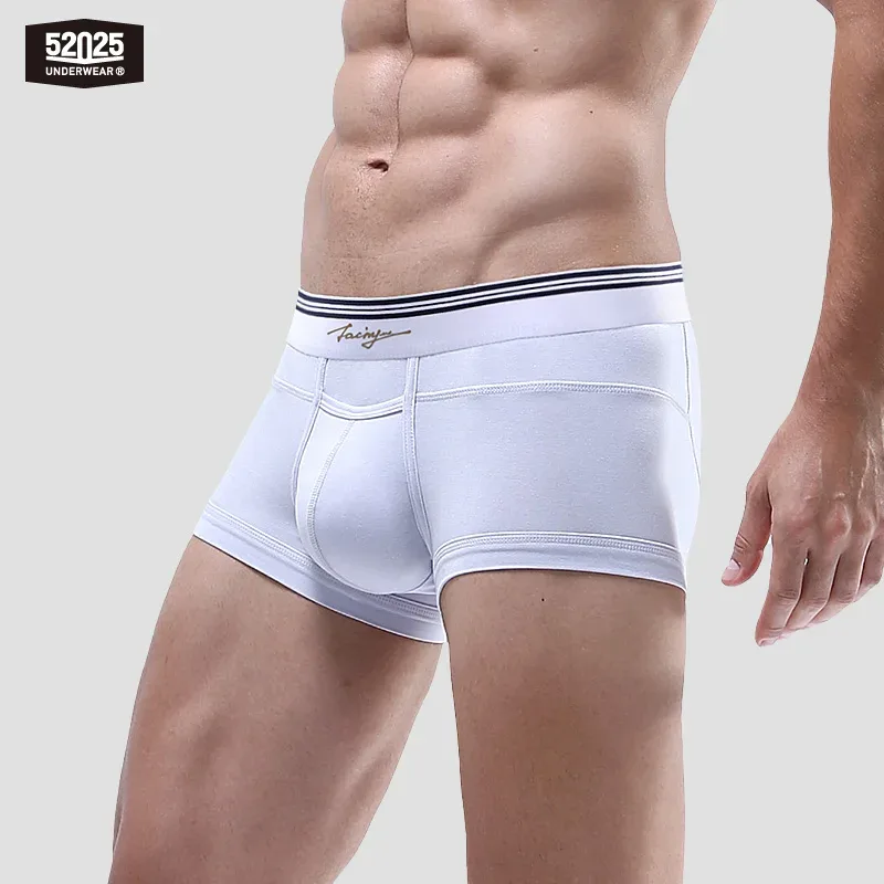 52025 Men's Premium MicroModal Boxers (3-Pack) – Ultra-Soft Silky Fabric, U-Shaped Contour Pouch and Comfortable Modern Fit — image 19