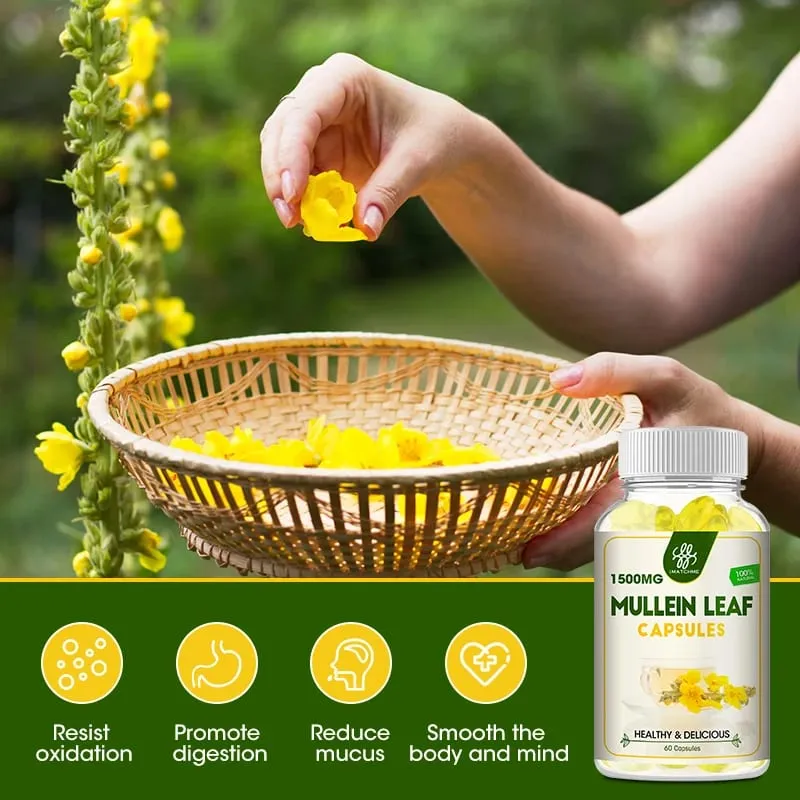 iMATCHME Mullein Leaf Capsules Lung Cleansing Unobstructed Breathing Relieve Cough Detoxification Health Care Antioxidat Enhance Immunity