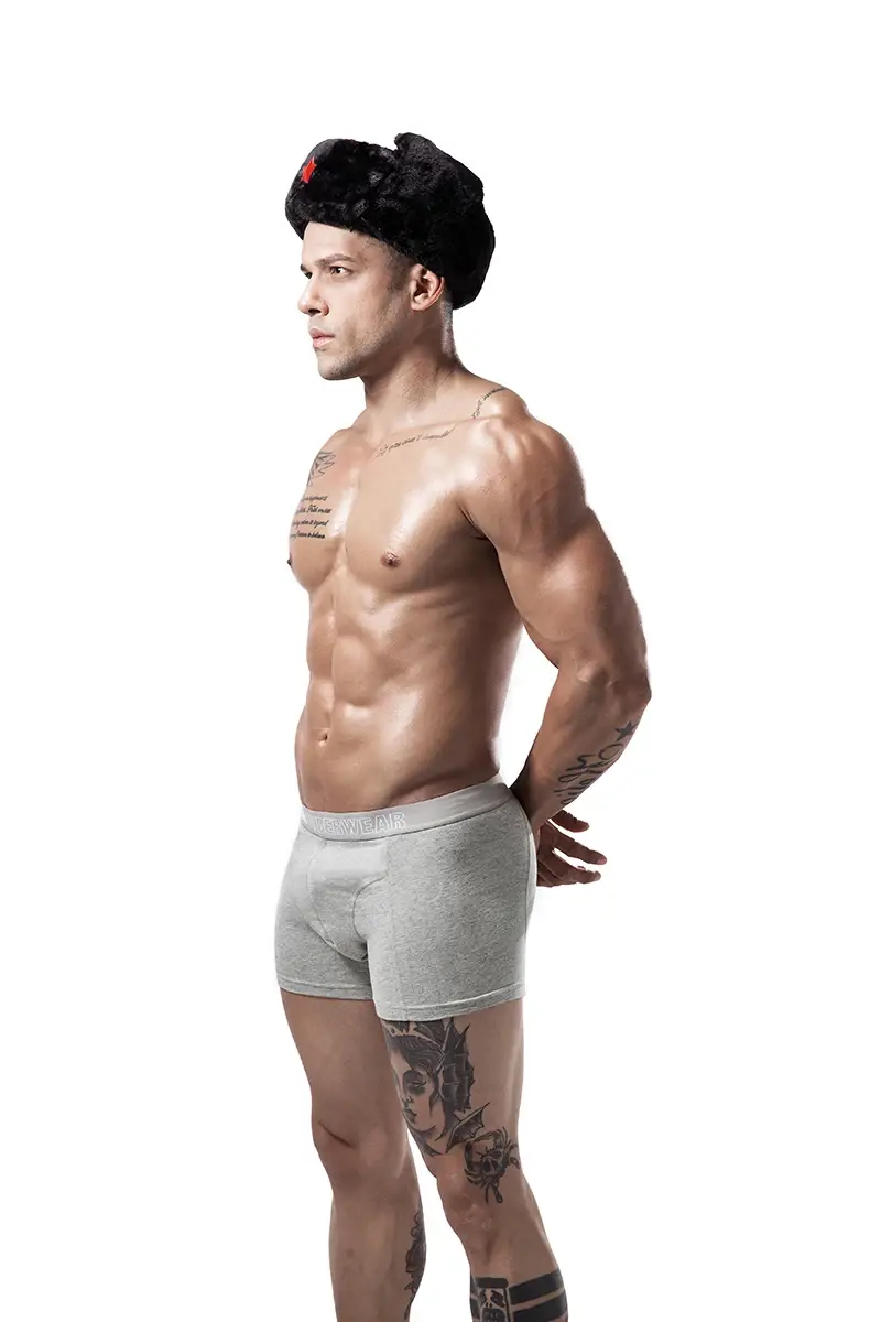 6pcs/lot Oversized Cotton Mens Underpants Soft Boxer Men Breathable Solid Underwear Flexible Boxershorts Vetement Homme — image 4