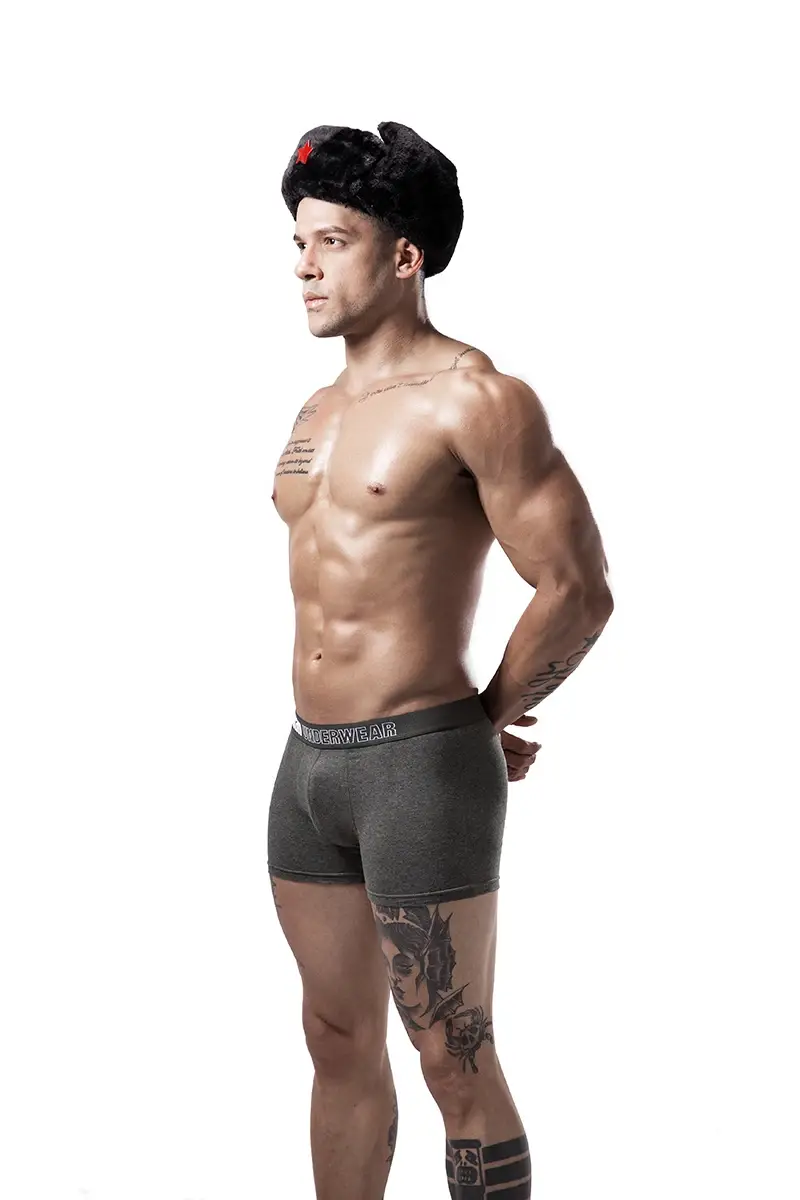 6pcs/lot Oversized Cotton Mens Underpants Soft Boxer Men Breathable Solid Underwear Flexible Boxershorts Vetement Homme — image 2