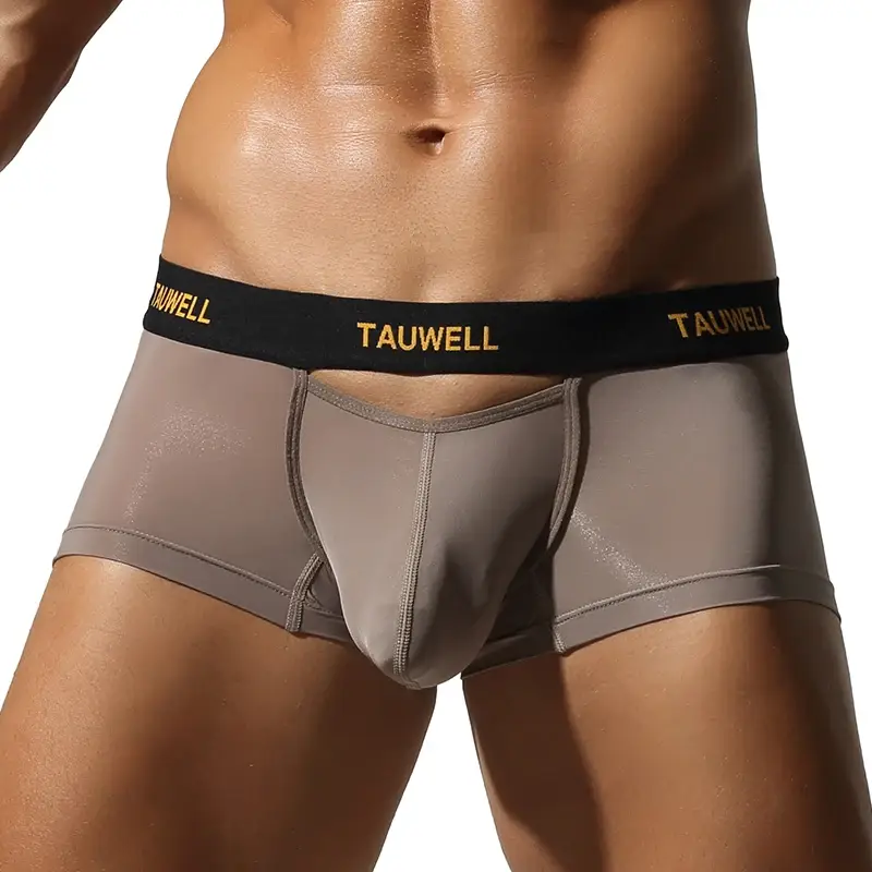 Men's Underwear Comfortable Cool Thin Sexy Semi-Transparent Flat Angle Pants with U-Shaped Pouch Briefs — image 3