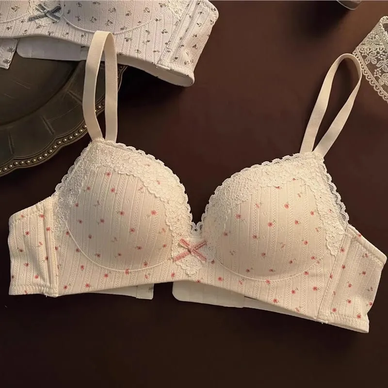 Sexy Lace Floral Bra Set Comfortable Non-steel Ring Beauty Back Small Breasts Gathered Up Support Anti-sagging Teenage Bra Set
