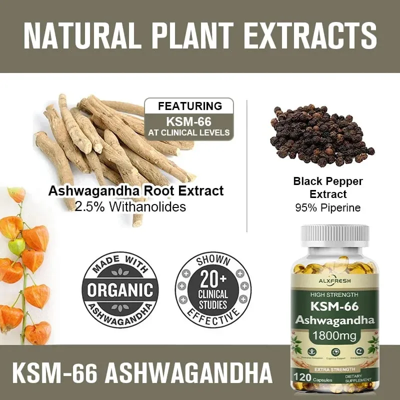 KSM-66 Capsules d'Ashwagandha biologique avec zinc | Végétalien sans OGM | Supplément santé de formule premium — image 4