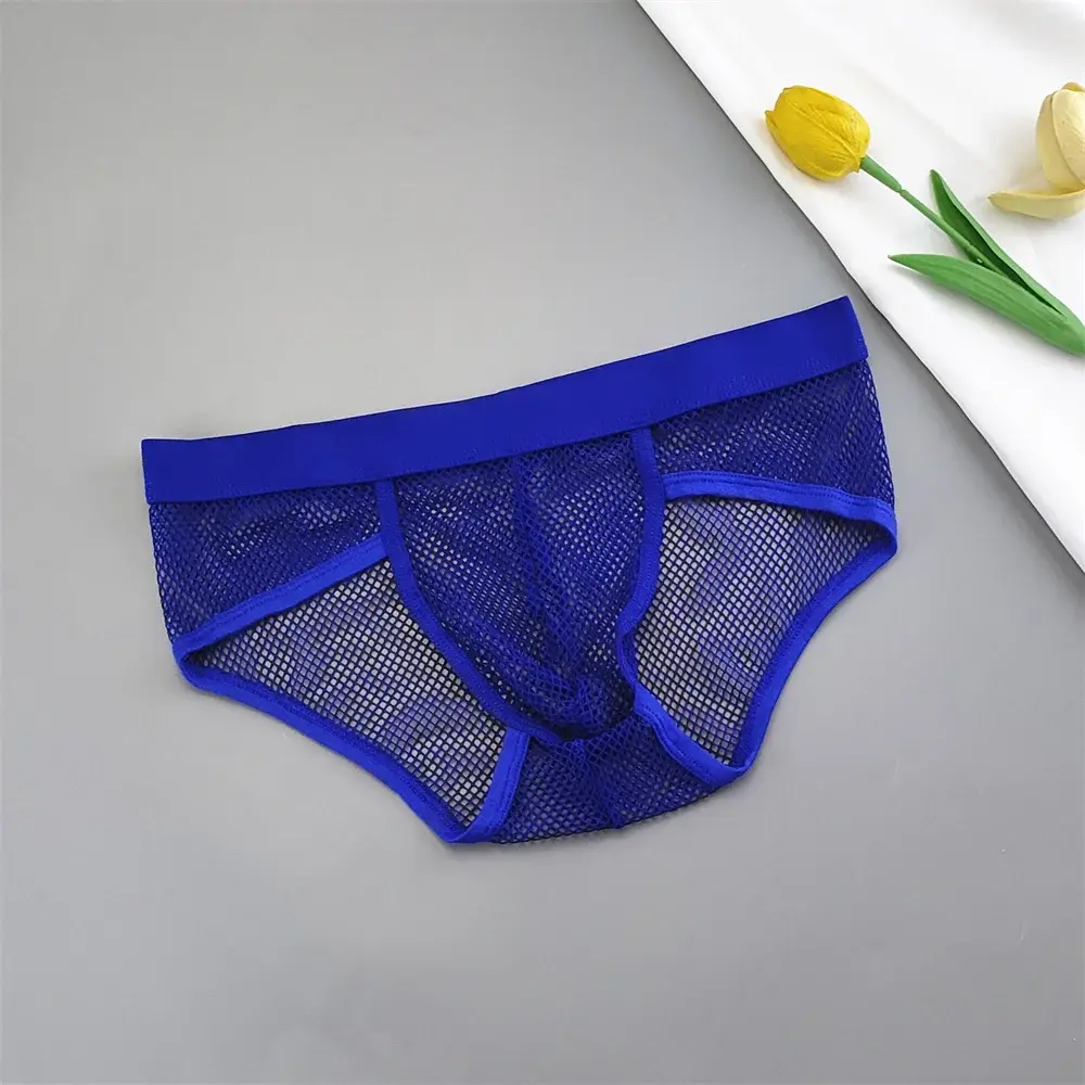 Hollow Out Mesh Men's U Pouch Underwear Low Waist Transparent Bikini Briefs Breathable Panties Plus Size — image 4