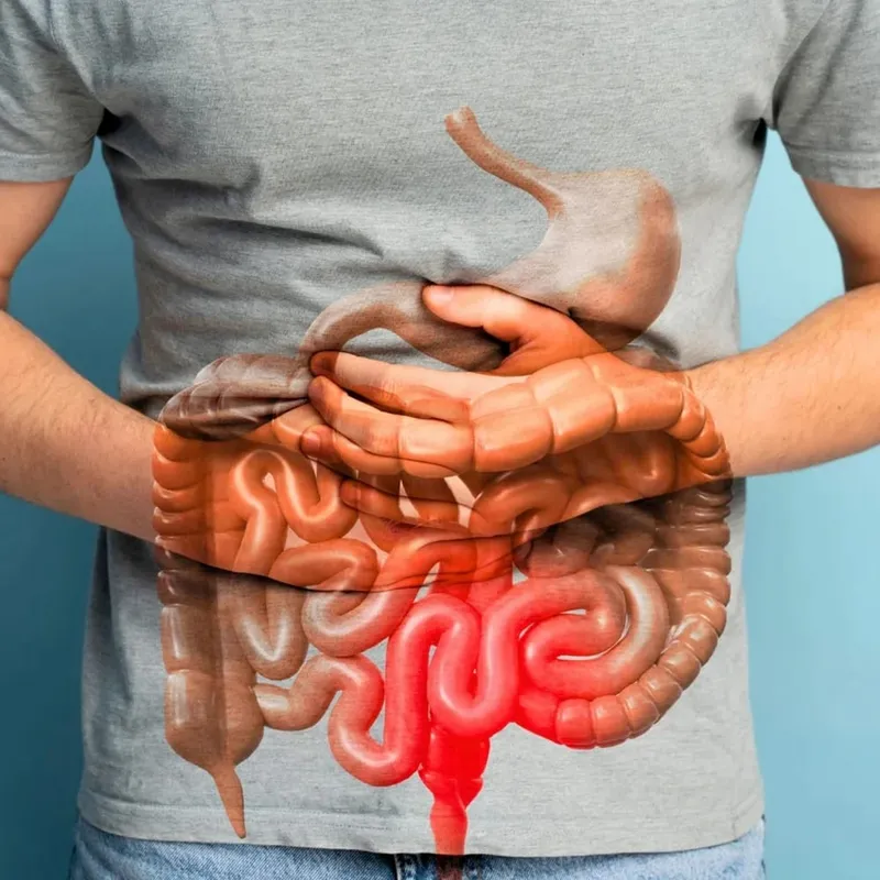 Kapsul Pembersih Pelarut Usus Terbaik untuk Peraturan Penghadaman Usus Keseluruhan & Mengekalkan Kesihatan Usus Melegakan Sembelit