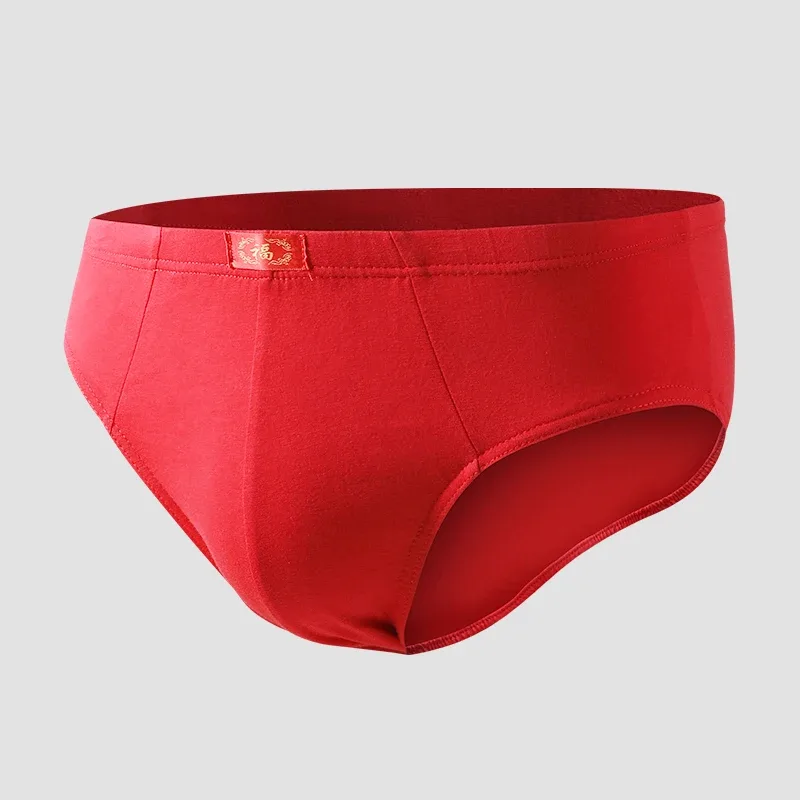 Men's Trendy Red Briefs for Their Zodiac Year, Wedding Gift, Good Luck and Celebration Briefs — image 3