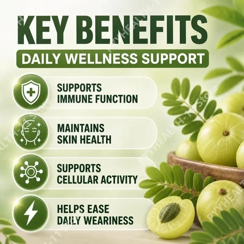 Docteat Amla Fruit Extract Capsules for Immune Support and Skin Health with Vitamin C Vitamin B3 CoQ10 and PQQ 60 Capsules — image 5