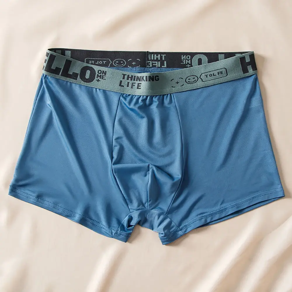5pcs/set Men Boxer Shorts Ice Silk Men's Underwear Summer Breathable Plus Size Underpants U Convex Lingerie Cool Sexy Panties