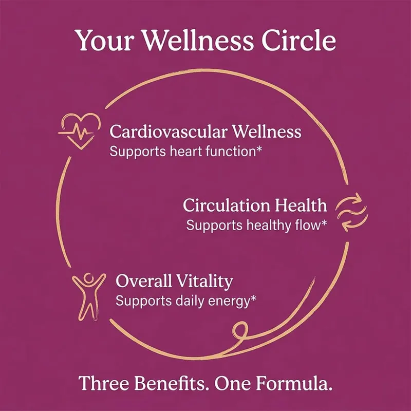 Organic Beetroot Extract Capsules 500mg Supports Blood Circulation & Heart Wellness Blood Flow Improves Immunity — image 4