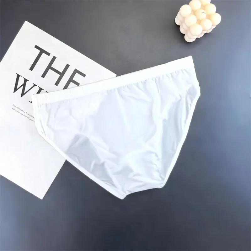 Business Men Ice Silk Briefs Quick Dry Seamless Nylon Male U Pouch Convex Underwear Sexy Plus Size Underpants Lingerie — image 3