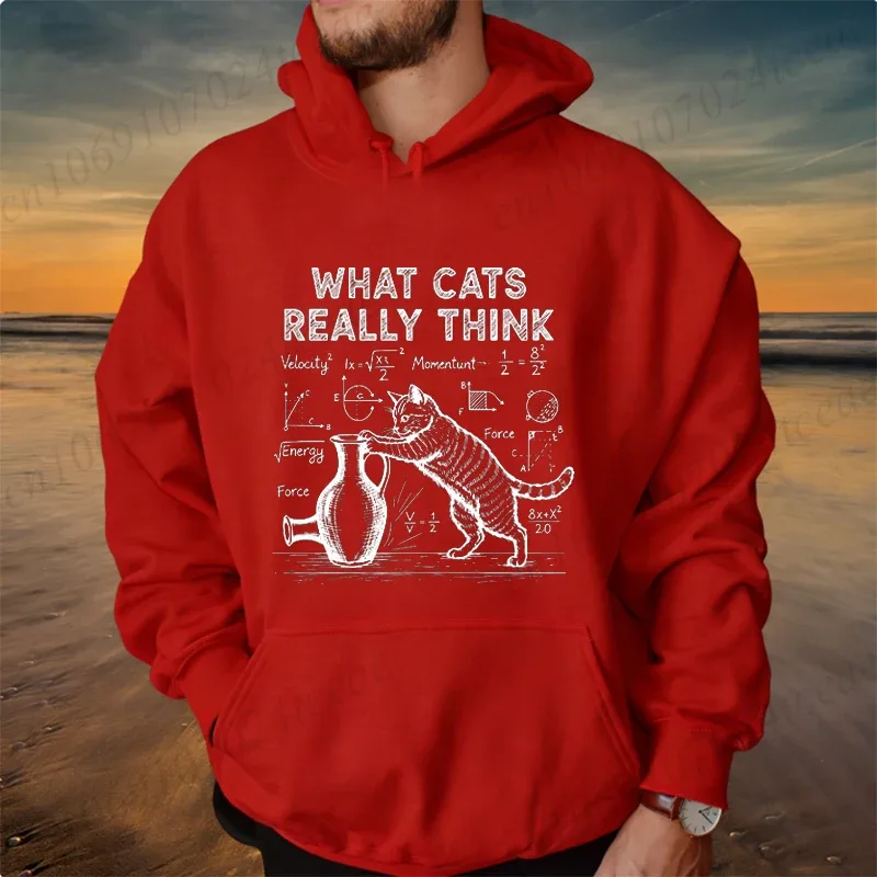 Funny Cat Physics Design Hoodies Math Science Humor Cat Print Sweatshirt Personalized Men Women Casual Streetwear Fashion Hoodie — image 4