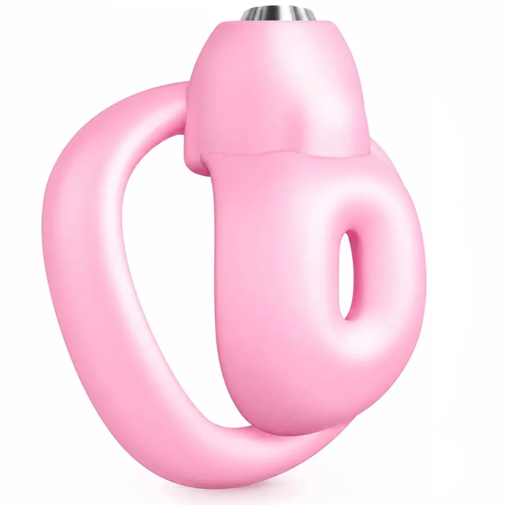 Set Kandang Kesucian Penis Pria Kandang Kesucian Mini Kecil dengan 5 Cincin Ayam Mainan Seks Pria Pengekangan Budak Perbudakan Penis — image 2
