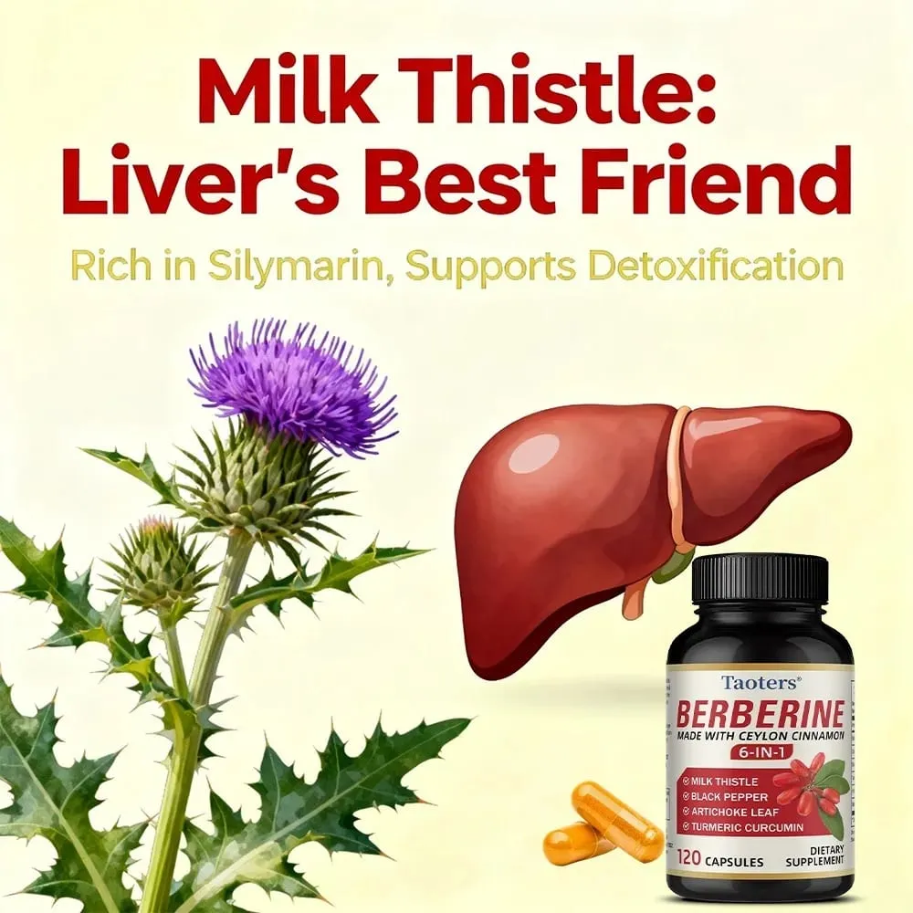 6 in 1 Supplement Berberine with Ceylon Cinnamon Turmeric Milk Thistle Artichoke Black Pepper Support Digestive Liver Health