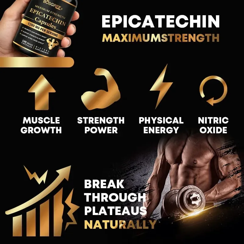 Epicatechin Capsules - Protein Synthesis Athletic Ability Strength and Lean Muscle Support - Carnosine Inhibitors Supplements — image 3