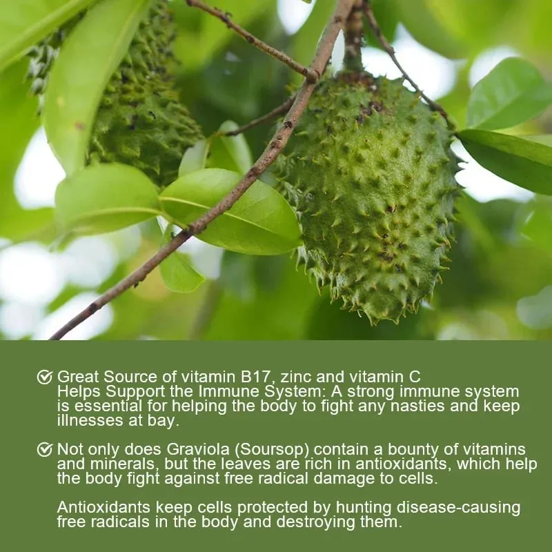 Soursop Graviola 1950mg Capsules Supports Healthy Immune System Digestion Better Sleep & Natural Antioxidant Activity