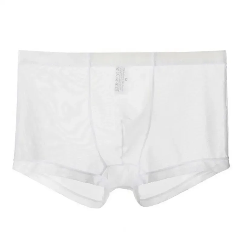 Mga Transparent na Boxer para sa Mga Lalaki na See Through Panlalaking Panloob na Sexy Mesh Low Waist Ice Silk Manipis na Nakakapalamig na Panti ng Lalaki na Panloob na Panloob