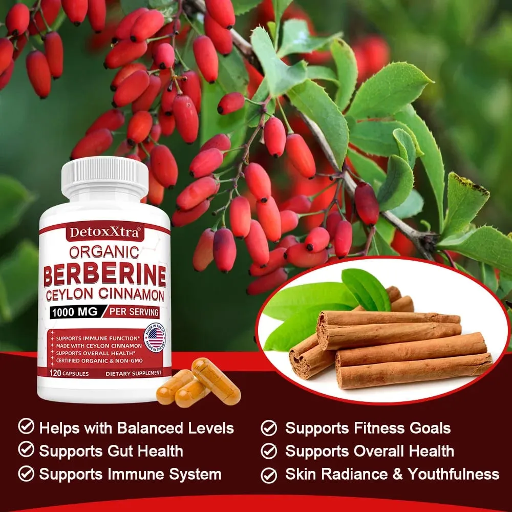 Premium Berberine HCL - Blood Sugar Support Heart Health - Ceylon Cinnamon Berberine HCI Supplement Capsules 1000MG — image 4