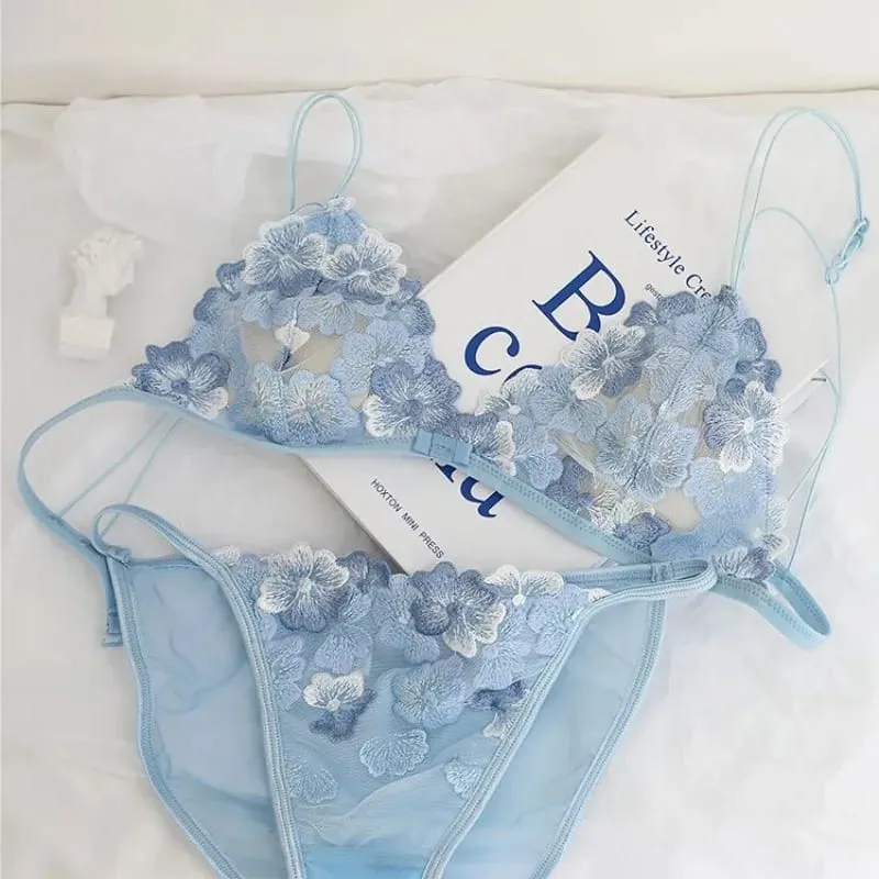 French Lace Bralette Small Bust Women Wireless Ultra Thin Sexy Embroidery Mesh No Underwire Push Up Comfort Bra Set BANERDANNI — image 5