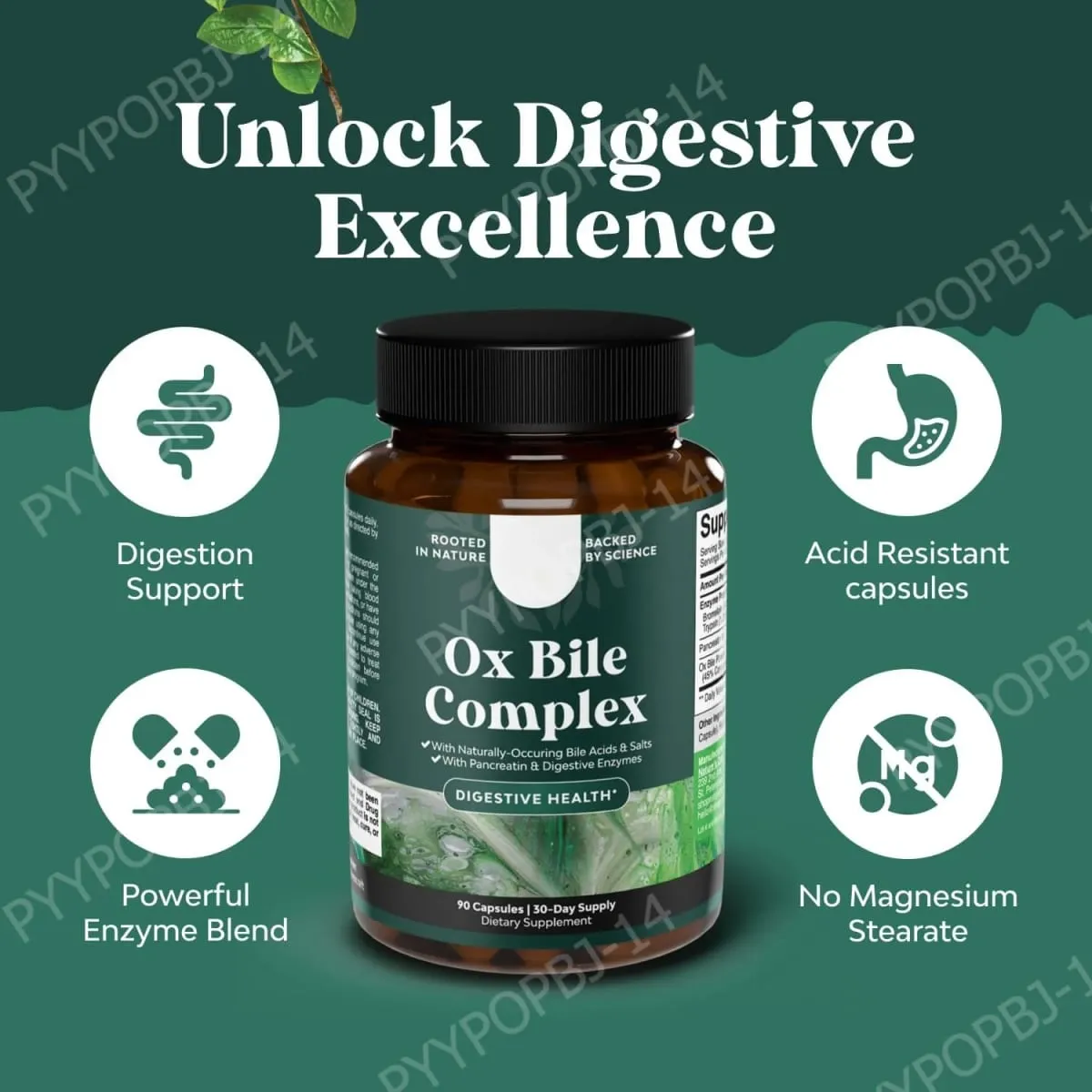 Digestive Enzyme Ox Bile Supplements with Pancreatin & Bromelain 90 Capsules 30 Servings for Women & Men — image 6
