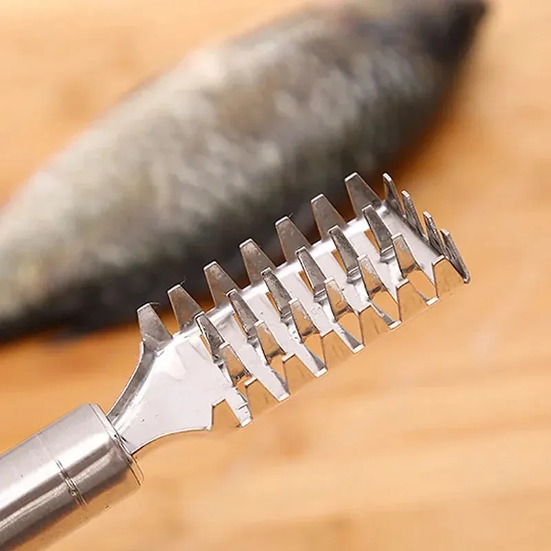 Fish Scale Removal Essential! Stainless Steel Round Tube Fish Scraper Fast No Splatter Effortless Kitchen Fish Tool — image 5