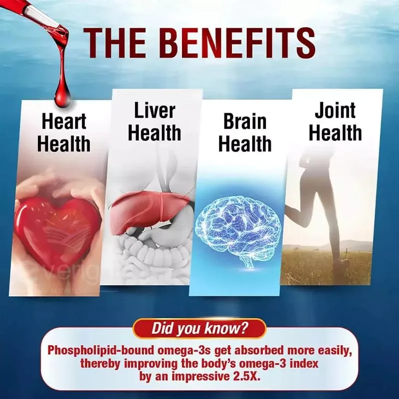 Krill Oil – Phospholipid Omega-3 Complex with Astaxanthin – Supports Lipid Management Metabolism Brain & Heart Health EPA/DHA — image 5