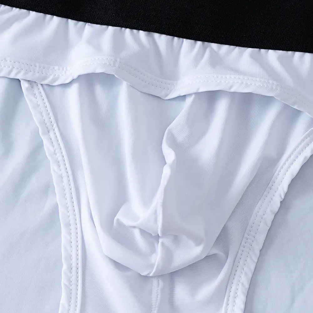 Men Underwear Briefs Underpants Nylon Mesh Quick Dry Men's Briefs Bikini Slip Men's Jockstrap Briefs Swim Swimwear Shorts D2017 — image 11