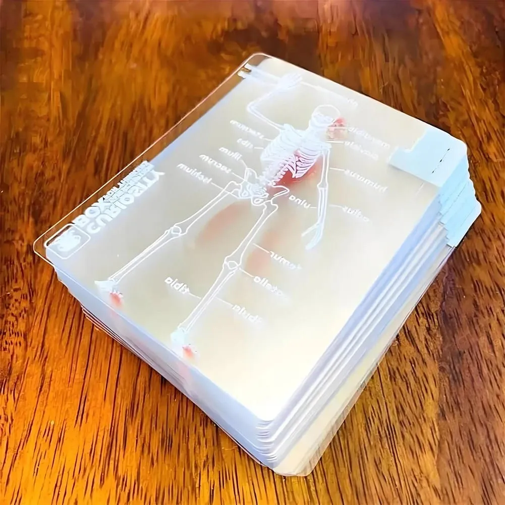 The Body Deck Cards Reusable 3D Image Educational Cards Multi-Purpose Body Transparent Playing Cards for Friend Gifts