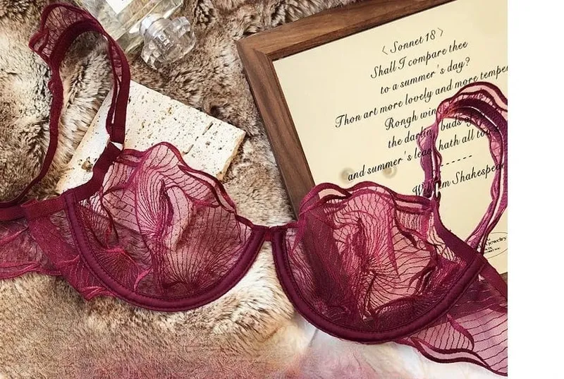 French Embroidery Lace Bra Set For Women Ultra Thin Sheer Minimizer Bra Hollow Out Lingerie Brassiere 32-38AB Elegant Daily Wear — image 8