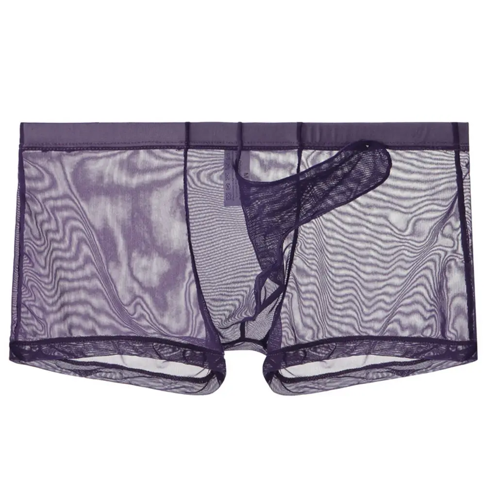 Mga Sexy Men Mesh Transparent Lightweight Underwear See Through Breathable Boxer Briefs Panties Bullet Separation Male Boxer Panty — image 13