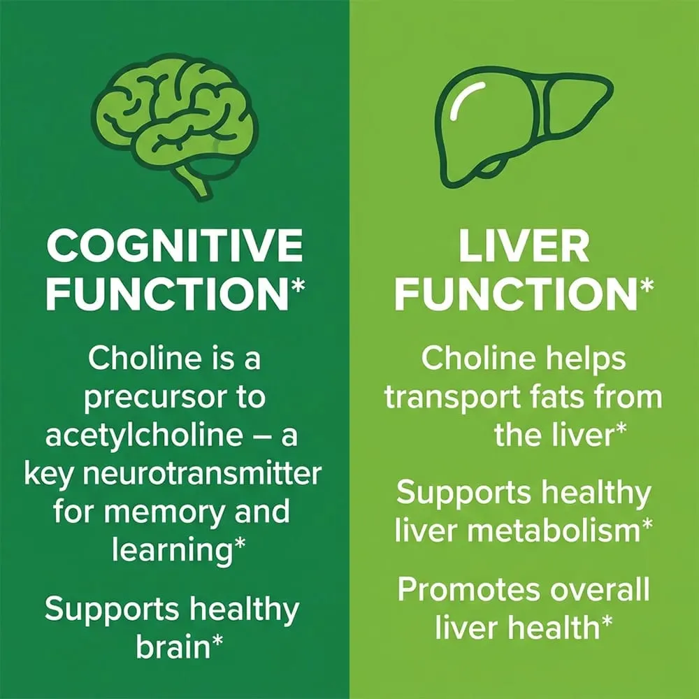 Choline 500mg - High Potency Choline Supplements Supports Cognitive Performance & Liver Function Vegan Capsules Non-GMO — image 3