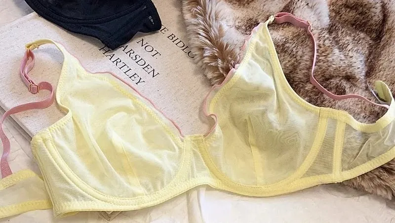 Sophisticated French Minimiser Bra Underwire Support Triangle Cups Non Padded Mesh Lingerie Set For Large Bust MOYISU Panty Set — image 15
