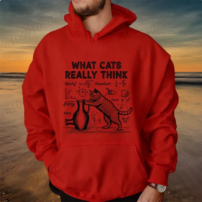 Funny Cat Physics Design Hoodies Math Science Humor Cat Print Sweatshirt Personalized Men Women Casual Streetwear Fashion Hoodie — image 3
