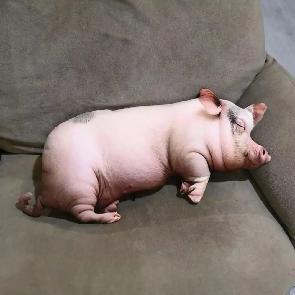 Plush Material Animal Body Pillow PP Cotton Filled 40cm Size Animal Cushion Doll Toys Cute Design Soft Texture Pig Keychain — image 2