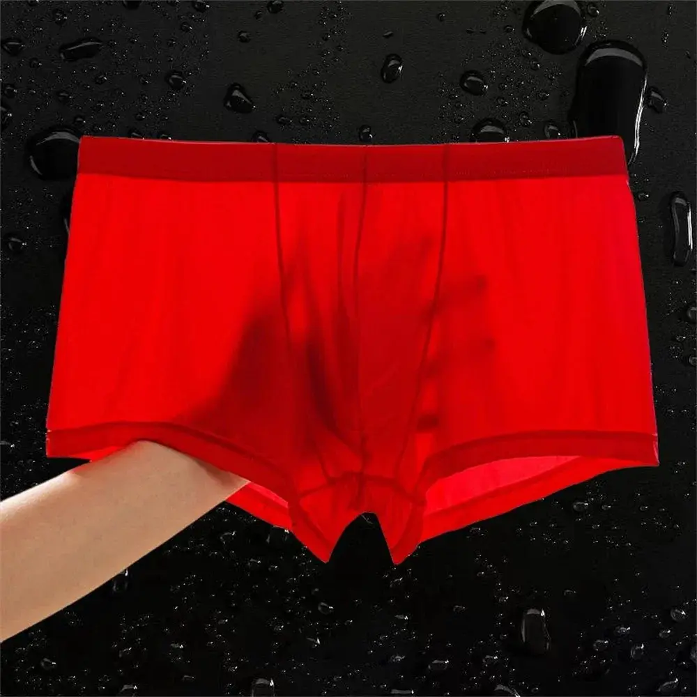 Transparent Boxers Men Ice Silk Quick Dry Male Trunks Summer Seamless Underwear Ultra-thin Plus Size Shorts