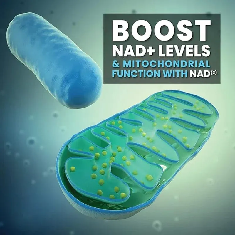 Suplemento de cápsulas NAD Suplemento liposomal NAD+ - Defensa contra el envejecimiento Energía celular Función cardíaca y cerebral — image 2