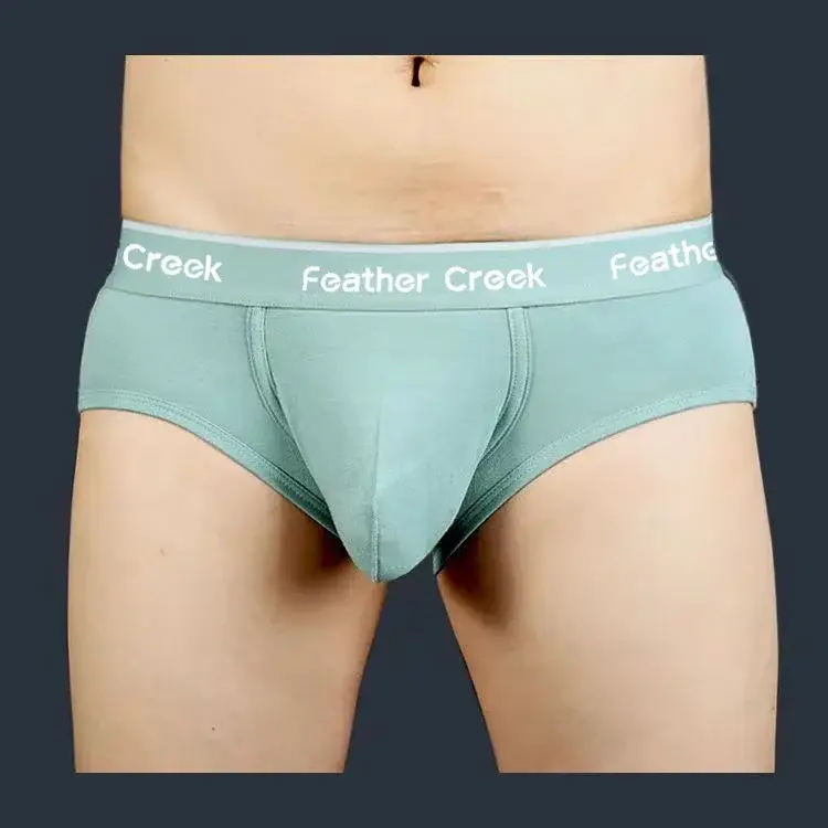 2026 Men's U-Shaped Large Bag Underwear Sexy Briefs Comfortable Innerwear for Men — image 6
