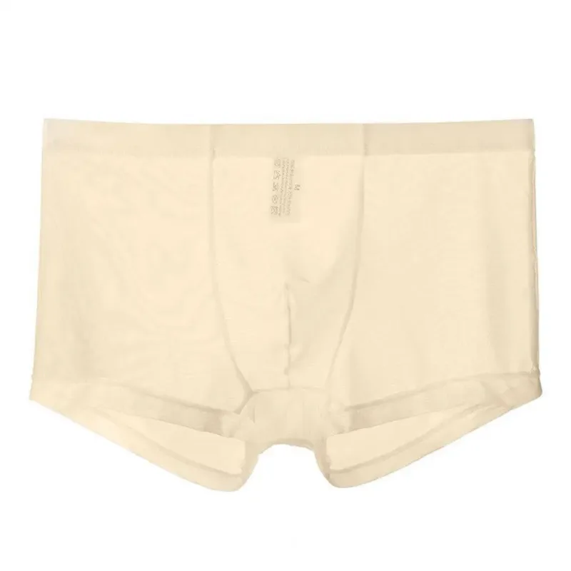 Mga Transparent na Boxer para sa Mga Lalaki na See Through Panlalaking Panloob na Sexy Mesh Low Waist Ice Silk Manipis na Nakakapalamig na Panti ng Lalaki na Panloob na Panloob — image 9
