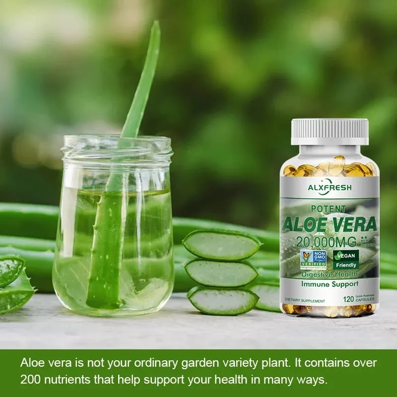 Aloe Vera Capsules Improve Digestive Health Soothe The Intestines Provide Antioxidant Detoxifying Effects Promote Skin Health