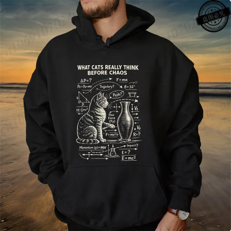 Funny Cat Physics Design Hoodies Math Science Humor Cat Print Sweatshirt Personalized Men Women Casual Streetwear Fashion Hoodie — image 22