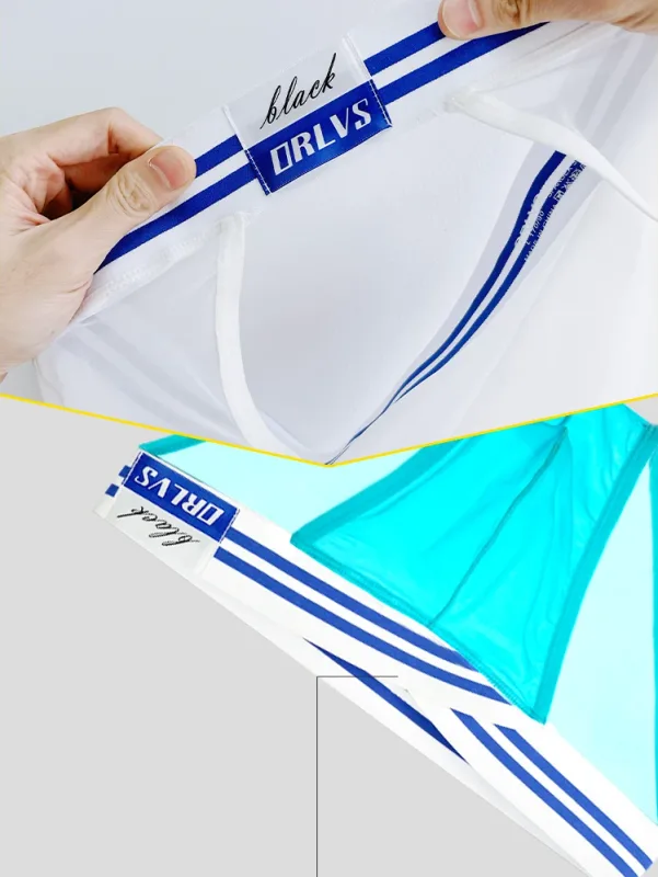 Men's Ice Silk Ultra-Thin Barely-There Mesh Sheer Briefs, Striped V-Shape Elastic Waistband Summer Daily Commute Underwear — image 16