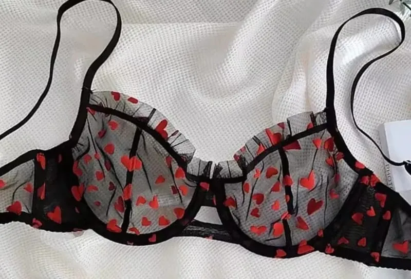 French Heart Print Transparent Lingerie Set Ultra Thin Underwire Bra Lace Sexy Push Up Gathering Small Breast Boost Hot Selling — image 12