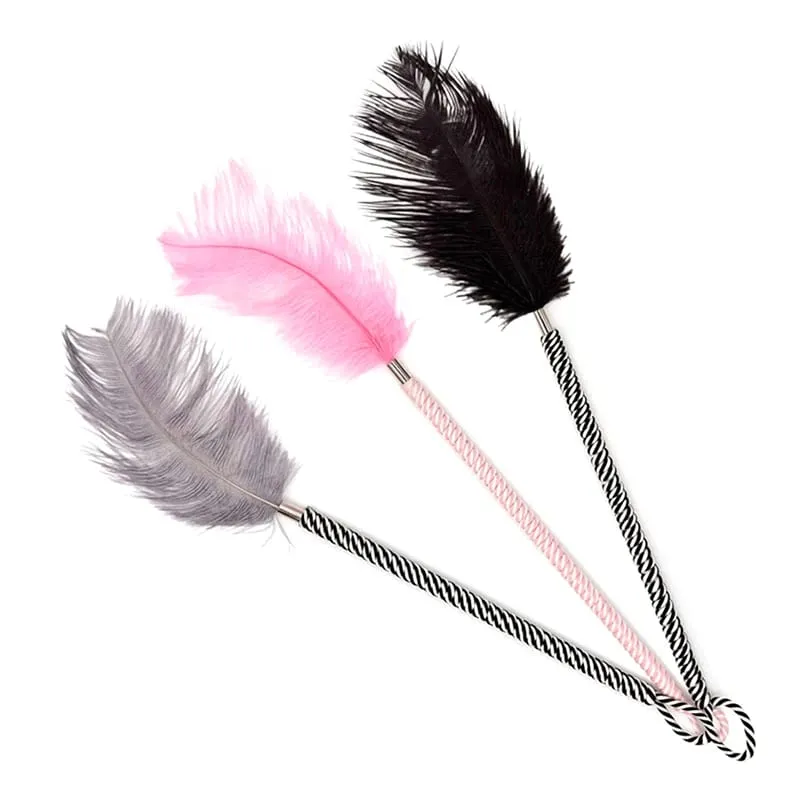 Clitoris Tickle Feather Erotic Whip Spanking Adult Sex Toys For Women Product Teasering Nipple Erotic Accessory▪ — image 1