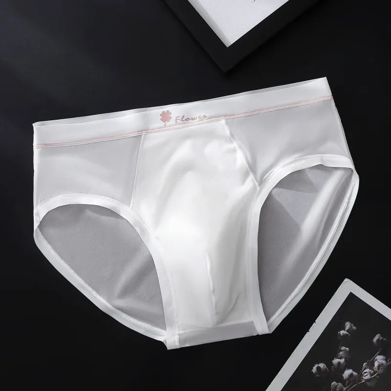 Women Panties for Men Ice Silk Seamless Brief Sexy Mesh Splicing Transparent Underwear Youth Breathable U Convex Pouch Underpant — image 16