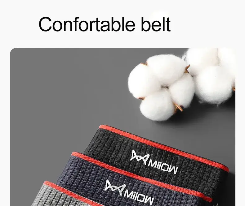 MiiOW PLUS 5XL 3/4Pcs Striped Panties Boxershorts Men Underwear Organic Cotton Boxer Shorts Antibacterial Seamless Underpants — image 5