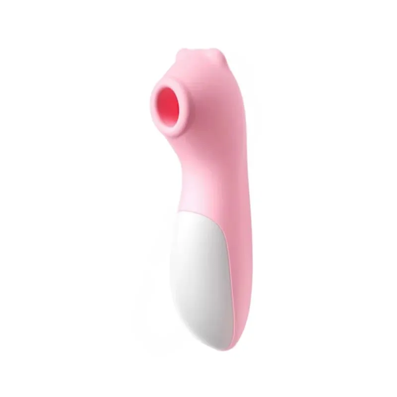 Tragbarer Klitoris-Saugvibrator, Vakuum-Stimulator, Massagegerät, 10 Geschwindigkeiten, wiederaufladbar, wasserdicht, Sexspielzeug für Frauen — image 9