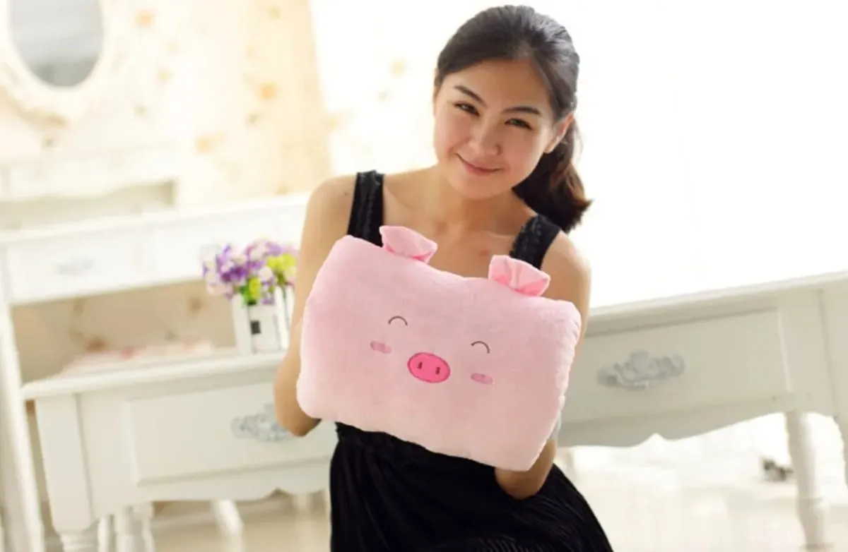 Cushion Pillow Nap Weak Hero Level 1 Arm Pillow Non-electric Sleeping Pillows Hand Warmer Cute Gift for Children Suho Travel — image 7
