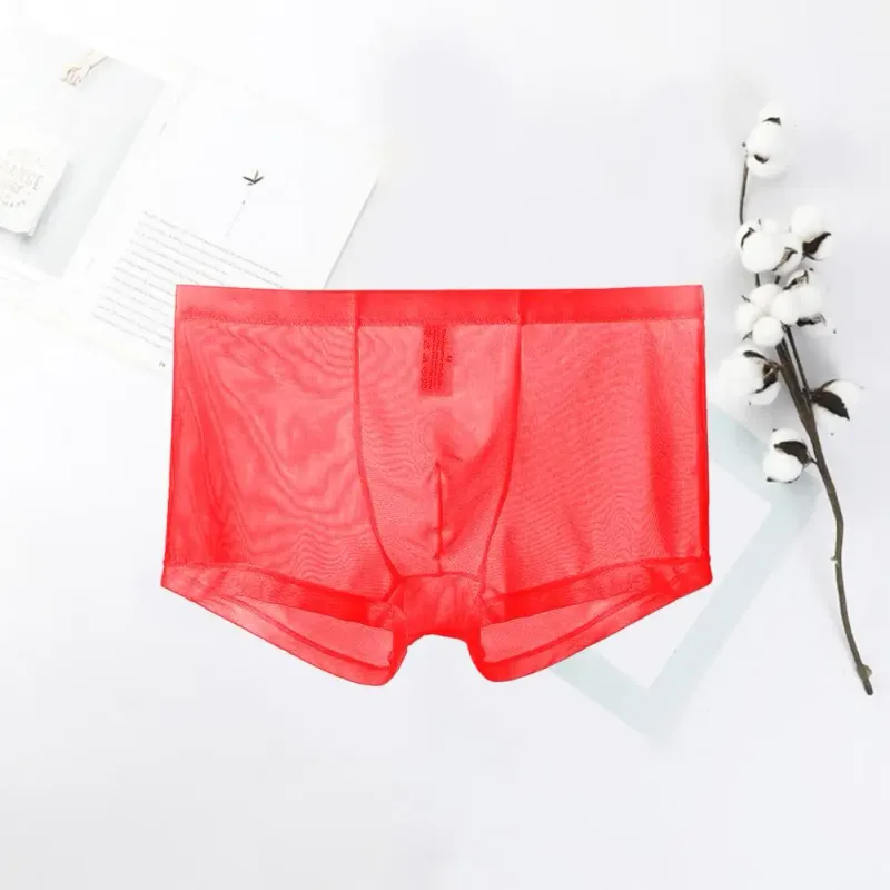Mga Transparent na Boxer para sa Mga Lalaki na See Through Panlalaking Panloob na Sexy Mesh Low Waist Ice Silk Manipis na Nakakapalamig na Panti ng Lalaki na Panloob na Panloob — image 10