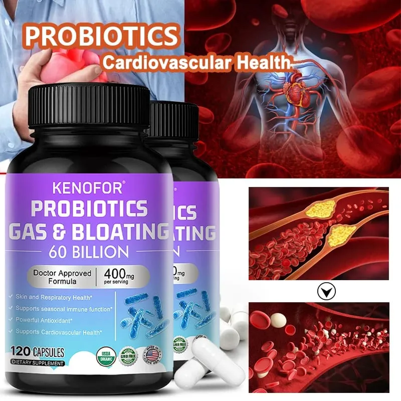 60 Billion CFU Multi-Strain Probiotic Capsules - Prebiotics + Digestive Enzymes Gut Health & Immune Support 30/60/120 Counts — image 6
