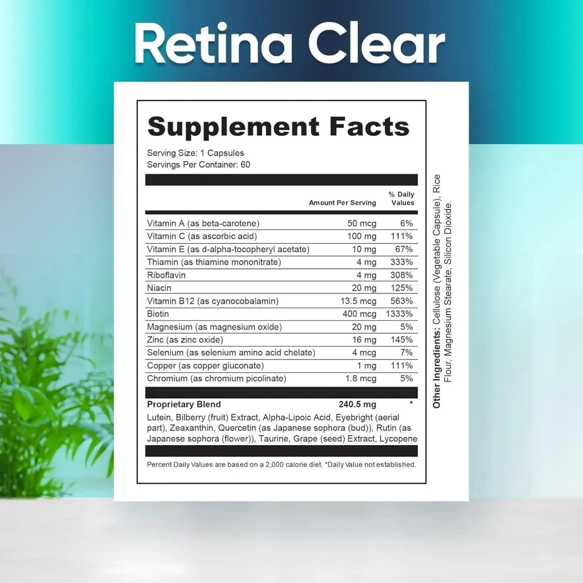 Vision Supplement – Eye Health Formula with Lutein Zeaxanthin Quercetin & Vitamin Supports Visual Clarity Eye Fatigue Relief — image 6