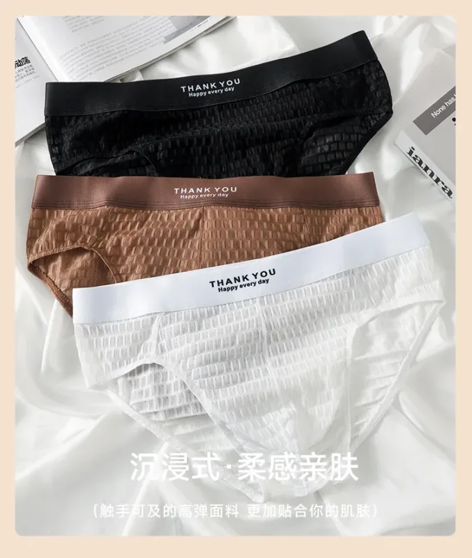 Transparent Mesh Underwear Male Ultra Thin Sheer Briefs Breathable Underpants Bulge Pouch Panties Soft Lingerie Low Rise Knicker — image 8